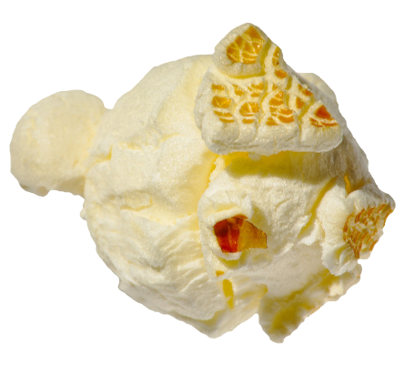 Mushroom Corn